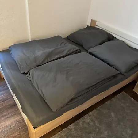 Townhouse Fuer 10 Personen Mit Garten اسلنغن