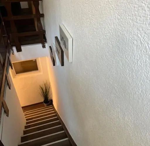 Townhouse Fuer 10 Personen Mit Garten